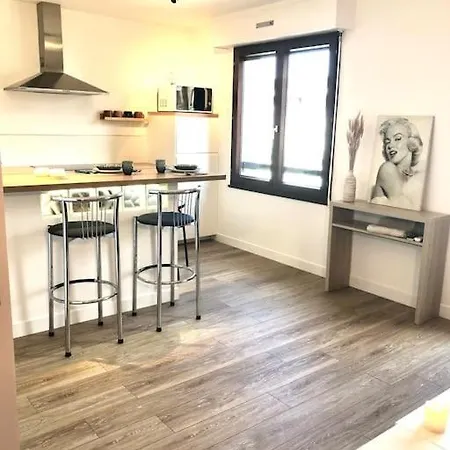 Paris Bois De 50 M2 * Венсен